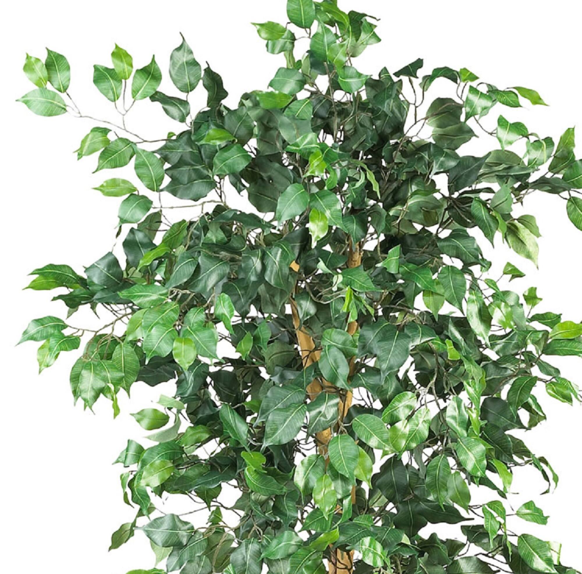 6ft. Artificial Ficus Tree